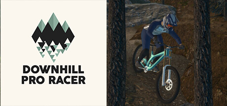 Downhill Pro Racer